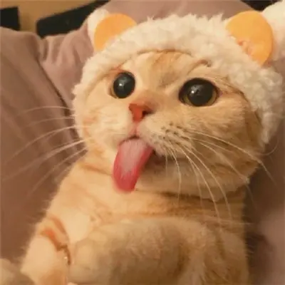 加载头像